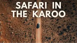 Searching for the Elusive Black Rhino | Karoo National Park | Ep. 1