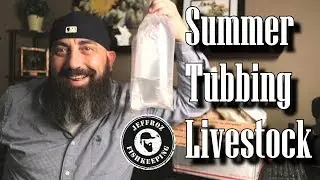 Unboxing some new fish for the Outdoor Summer TUBS
