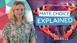 Learn about mate choice with Soleille!