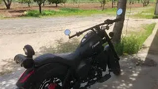 Falcon freedom 277