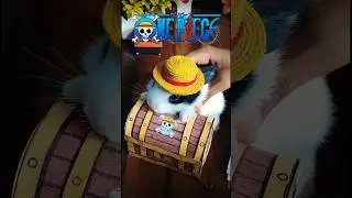one piece treasure box🔥 #handmade #anime #luffy #gift idea #cute_bunny #trending #viral #onepiece