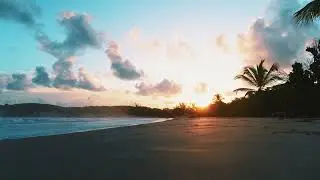 Braaheim, ILYAA, Dani Vidi - Use Somebody Lirics