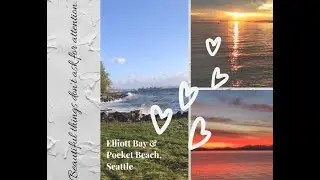 Seattle Elliott Bay & Pocket Beach | Vlog#02 | Seattle | Washington