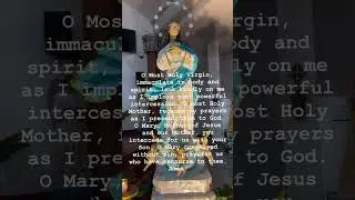 Prayer to Our Lady of Immaculate Conception 🙏 | Powerful Meditation Prayer #immaculateconception