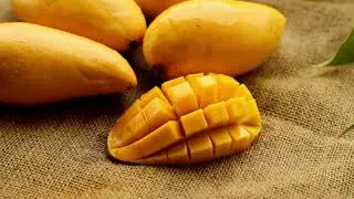 Mango Stock Video Footage | Vimadeos.com