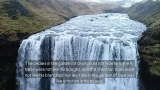 Ezekiel 31 KJV