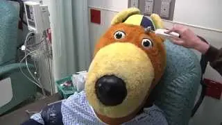 Cover Your Tail | Zippy Gets a Colon Screening at Summa Health System