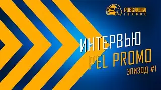 Интервью с игроками команд PEL Contenders &bull; PEL Promo &bull; Фаза 3