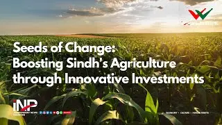 Seeds of Change: Boosting Sindh's Agriculture through Innovative Investments