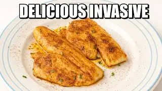 You Won&rsquo;t Believe How Good This Invasive Fish Tastes | Maryland Snakehead Catch & Cook
