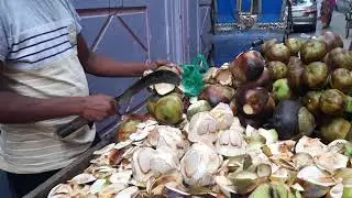 Tender Palm Cutting and Eating From Toddy Palm Plant-Amazing Skills ! Food Safari Network