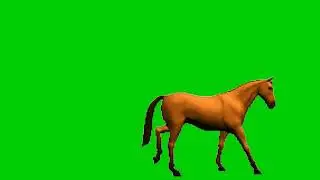 Horse walking | No copyright | Free to use |Green screen animation | Chromakey#zoomgreenscreen