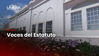 ¿Cómo se vive el nuevo Estatuto General desde la mirada estudiantil?