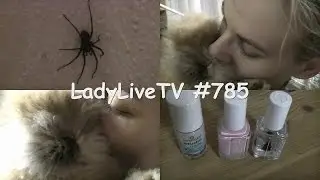 RIESENSPINNE! (22. 01. 15 - LadyLiveTV #785)