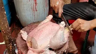 Live Chicken Cutting Skills In Bangladeshi Chicken Market II Fastest Chicken Cutting Skills