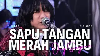 (Ony Suryono) SAPU TANGAN MERAH JAMBU - Cover by T'KOES