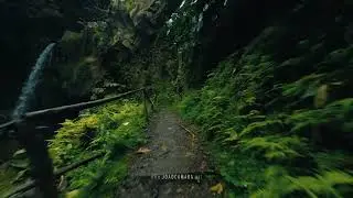 Cascatas do trilho Moinho do F&eacute;lix ~ Azores Islands (4K)