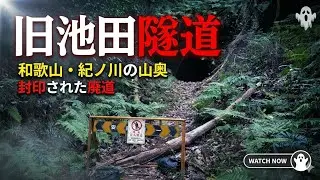 旧池田隧道まで徒歩で行ったら謎の小動物が横切りビックリした