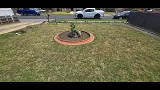 I'M BACK - To Do this Simple Yard Clean Up