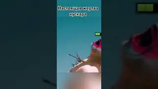 #мем #edit #memes #dog #csgo #dota2
