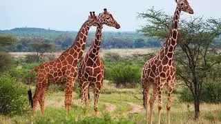 Ten (10) interesting fun facts about former Portuguese colony in Angola, you do not know