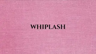 [SKE3012 KEUSAHAWANAN SIBER A251] ONLINE BUSINESS IDEA PITCH VIDEO GROUP WHIPLASH