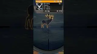 Every Great One Fallow Deer combo achieved!!!  #cotw  #cotwgameplay    #thehunter