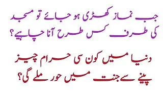 Urdu Sawalaat|Urdu Common Questions and Answers|Sawal Jawab Of Islam|Quranic Queries & Gk