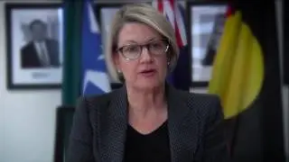 Stepping Up NSW Health's Secretary's Message