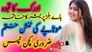 Motivational quotes/dasi nuskhy/garlue totkay/@amam86wzry/Islamic video/Best Urdu gateway/sunhare al