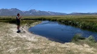 CATCHING LOADS OF FISH AT OWENS RIVER | MAMMOTH LAKES, CA