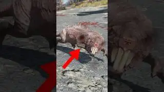 Where To Find MOLE RATS In FALLOUT 76