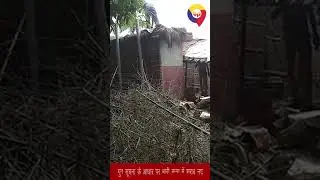 बेगूसराय पुलिस को मिली बड़ी सफलता, गुप्त सूचना के आधार पर भारी मात्रा में शराब नष्ट