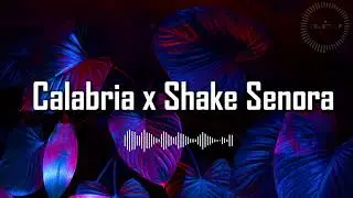 Calabria x Shake Senora mashup | ( Pitbull ft. T-Pain, Sean Paul x Enur ft. Natasja )