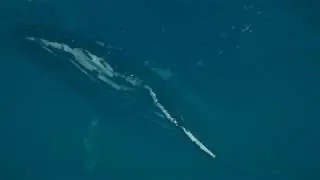 Crest Ocean System HDRP is beautiful