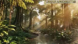 Naija Afrobeat Live 24/7 &ndash; Smooth African Groove for Work & Daily Vibes