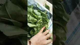 new tips #cockingtips #foodie #everydaytips #recipe #kichentips #kichenhacks #tastytips #foodietips