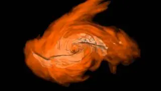Accretion Flow From a Stellar Tidal Disruption