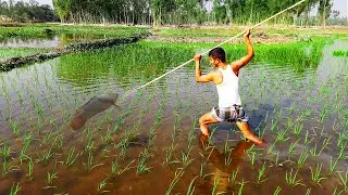 Tata fishing tilapia - Unique Fishing System Method in the Village - Tata fishing 2021 - P - 221