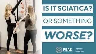 Sciatic Nerve Pain 101 | Chiropractor for Sciatica in Fargo, ND