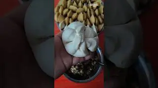 Filling Pasta Recipes Part 3026