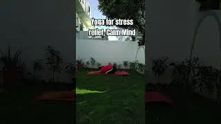 Yoga for Stress Relief,  Calm Mind | Yogini Sita #yoga #shorts #short #ytshorts #yt #ytshort #yog