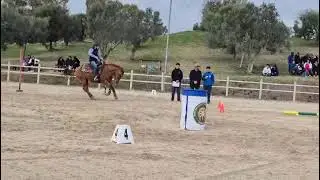 Gimakana master cat.open. Luca Sensolini joby Snap 🥉classificato 