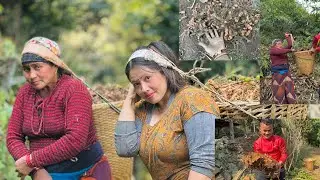 बेसारेको मन छैन मुख मात्रै🤣 के भन्नु हुन्छ ममिको कुरा सुनम है त🤣#vlogs #gorkha 