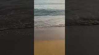 Golden Sand Beach Gwadar #gwadar #balochistan #goldensandbeach #explorepakistan #ocean #beach