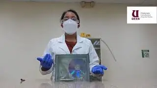 REVELADO DE HUELLAS DACTILARES CON CIANOACRILATO