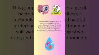 heterotrophic bacteria #mls  #biology #mlt #microbiology