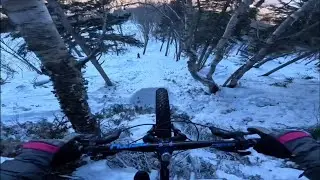 MTB Fail Compilation 11 | #mtb #fails