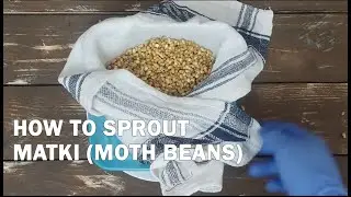 How to Sprout Matki - Sprouting Moth Beans at Home