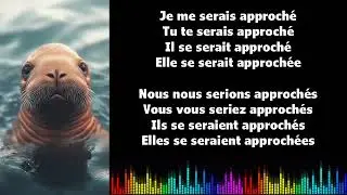 ♫ Изучайте французский ♫I S'APPROCHER I Conditionnel Pass&eacute;